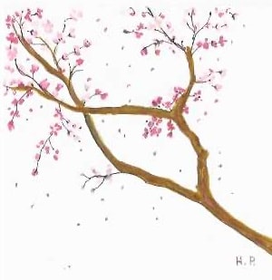 Cherry blossom branch with falling petals