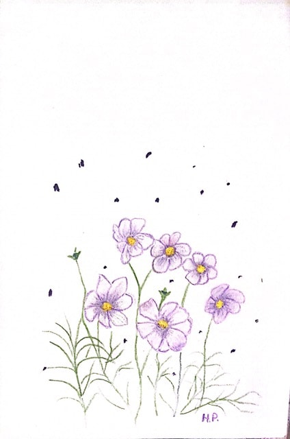 Purple wildflowers hand drawn illustration