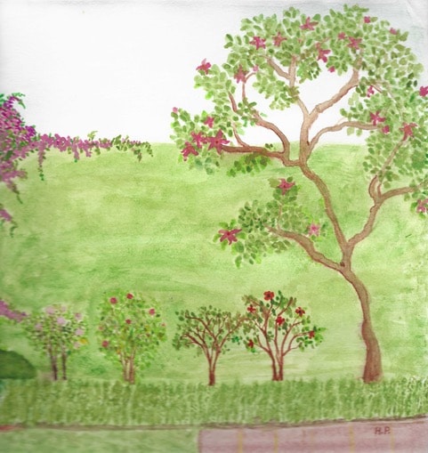 Flowering trees in green meadow landscape
