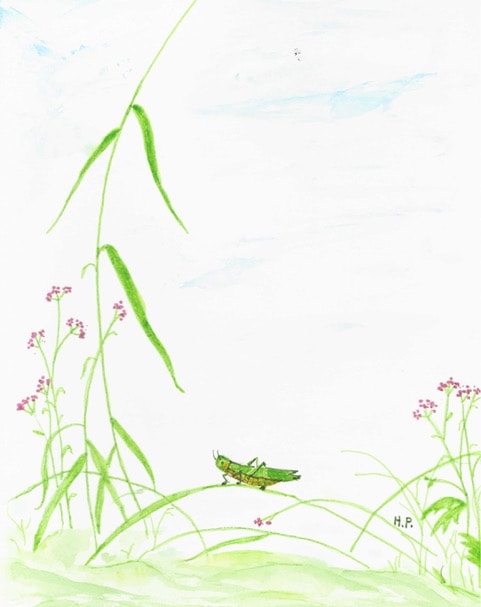 Grasshopper among wildflowers and tall grass