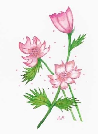 Watercolor pink flowers with green foliage