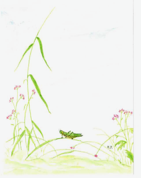 Delicate watercolor grasshopper among wildflowers and grass