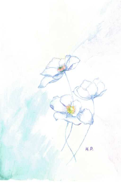Watercolor study with soft botanical forms