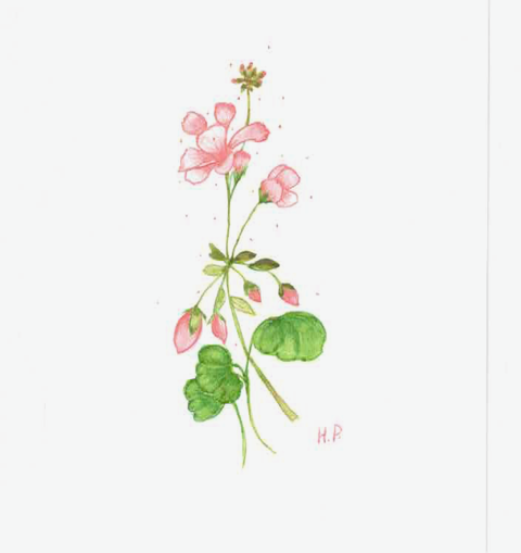 Watercolor painting with flowing organic shapes