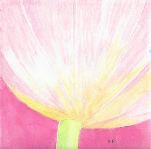 Abstract pink yellow flower painting