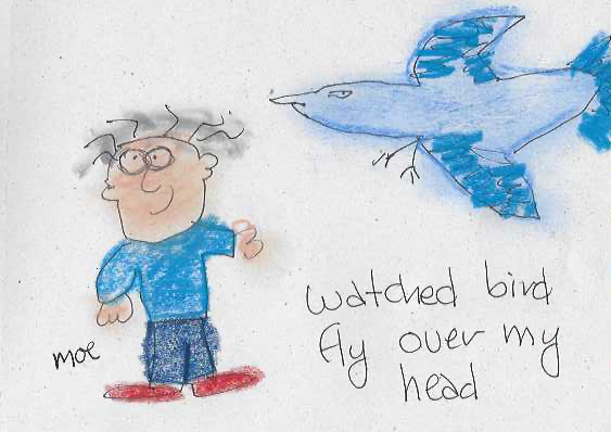 Watched bird fly over my head — drawing by Moe